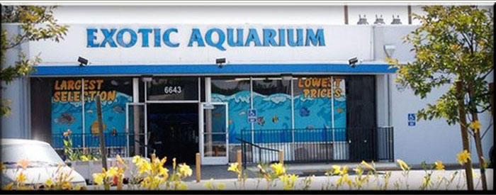 Exotic aquariums cheap